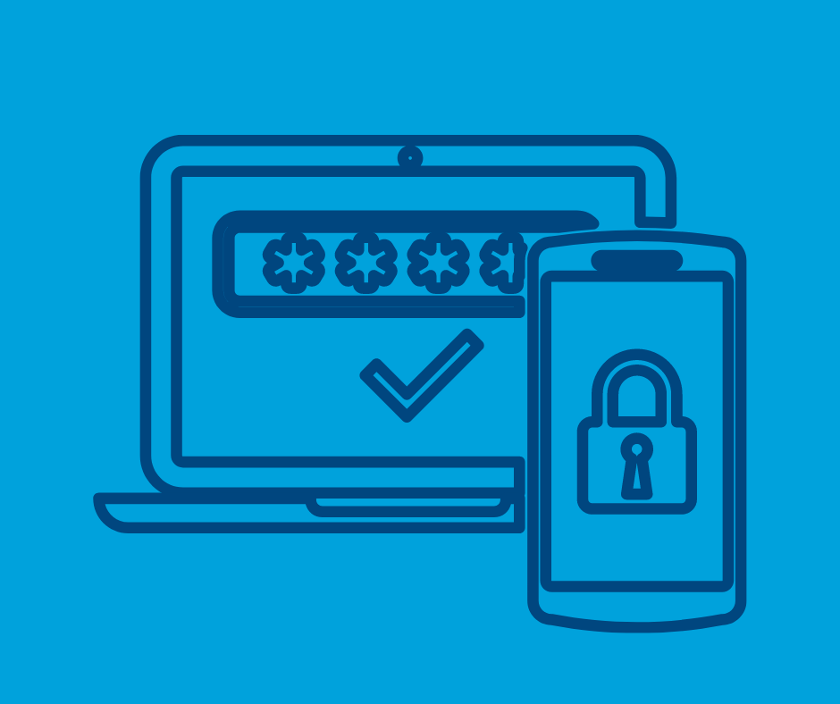 Publicly Accessible Logon Systems With Single Factor Authentication